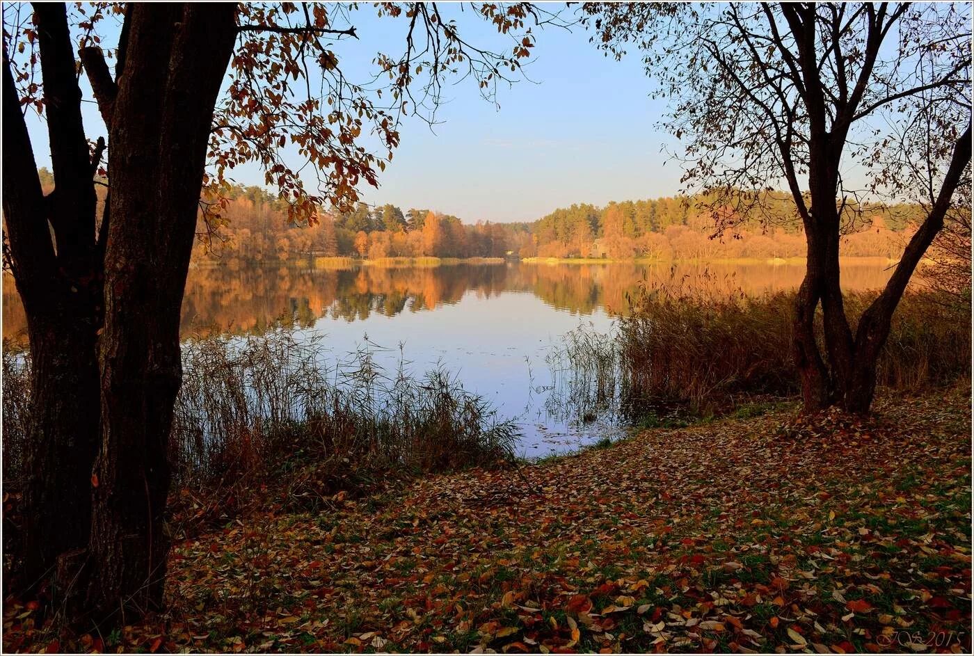 Осенние берега озер