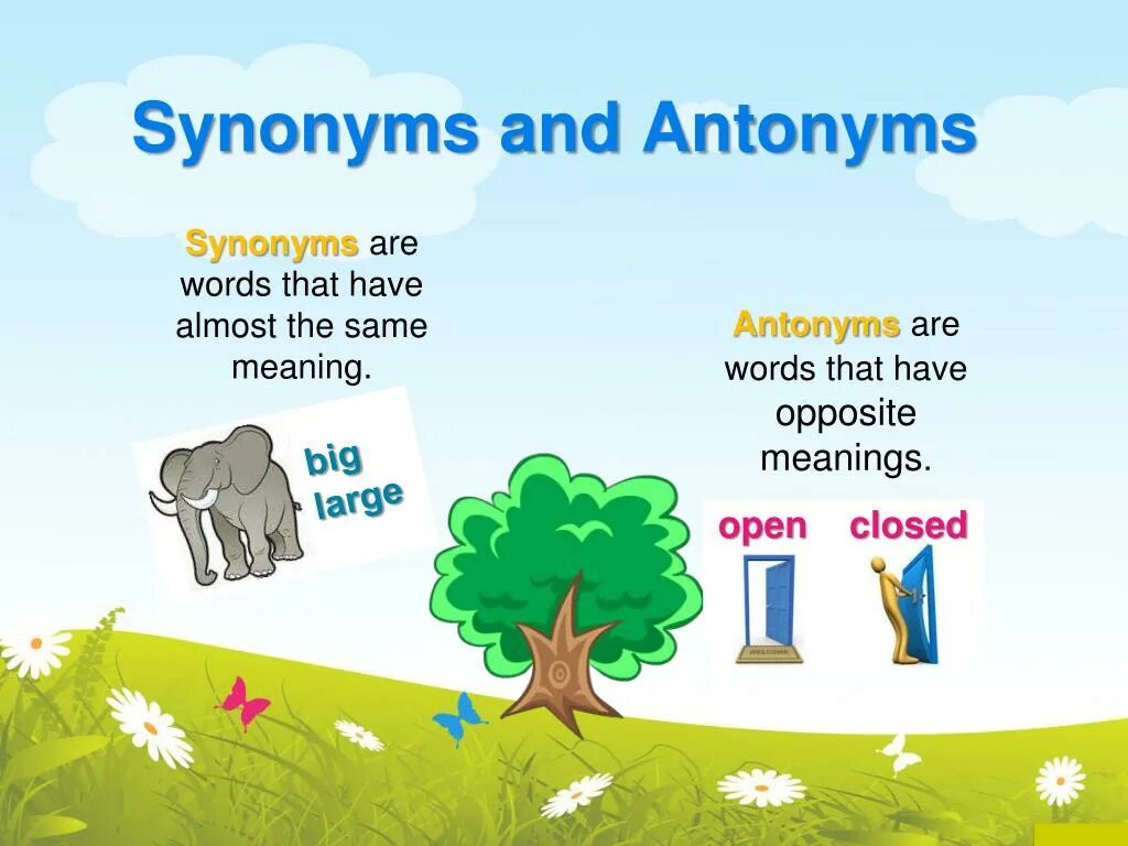 Almost the same. Synonyms and antonyms. Synonyms and homonyms. Synonyms antonyms and homonyms. Synonyms and antonyms in English.