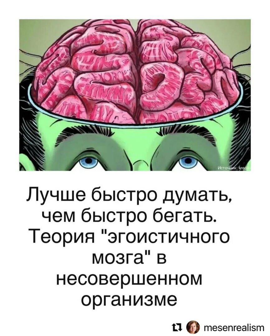 Сколько может прожить мозг. Эгоистичный мозг.