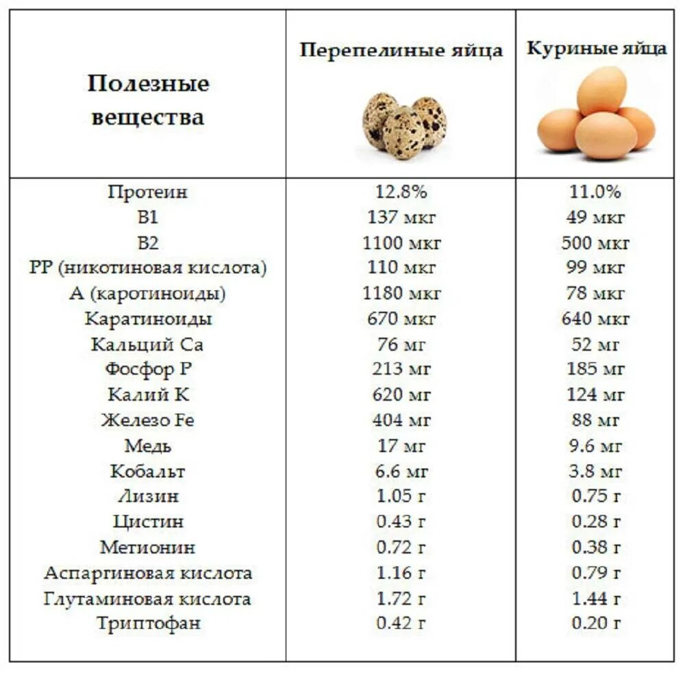 Сколько калорий в 1 яйце вкрутую. Сравнительная таблица куриное яйцо и перепелиное. калорийность 1 перепелиного яйца. пищевая ценность перепелиных яиц 1 шт. перепелиные яйца и куриные сравнение.
