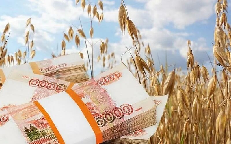 Минсельхоз субсидии. Субсидии для сельхозпроизводителей. субсидии аграриям. кредитование сельского хозяйства. сельское хозяйство деньги.