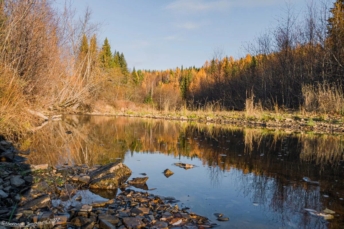 сангородок ухта. шудаяг ухта лес. шудаяг ухта. шудаяг ухта.