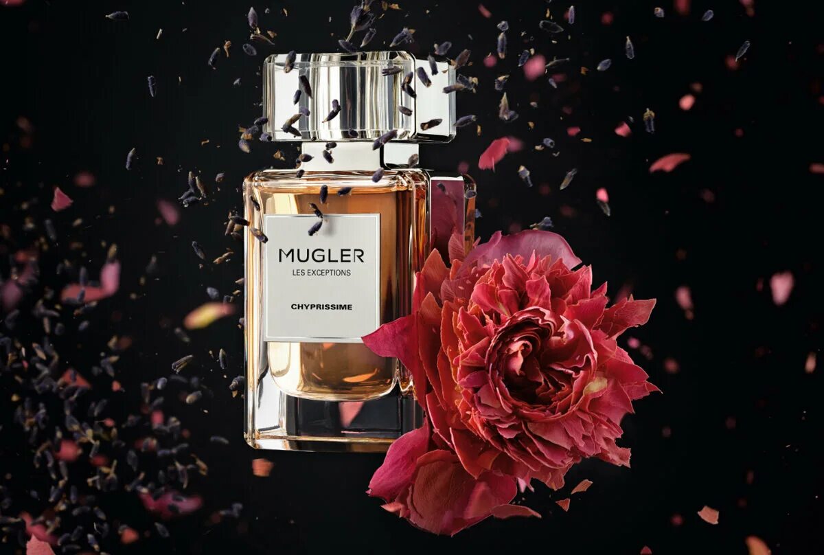 Mugler exceptions. Духи mugler les exceptions. духи mugler chyprissime. thierry mugler naughty fruity. нишевая парфюмерия баннер.