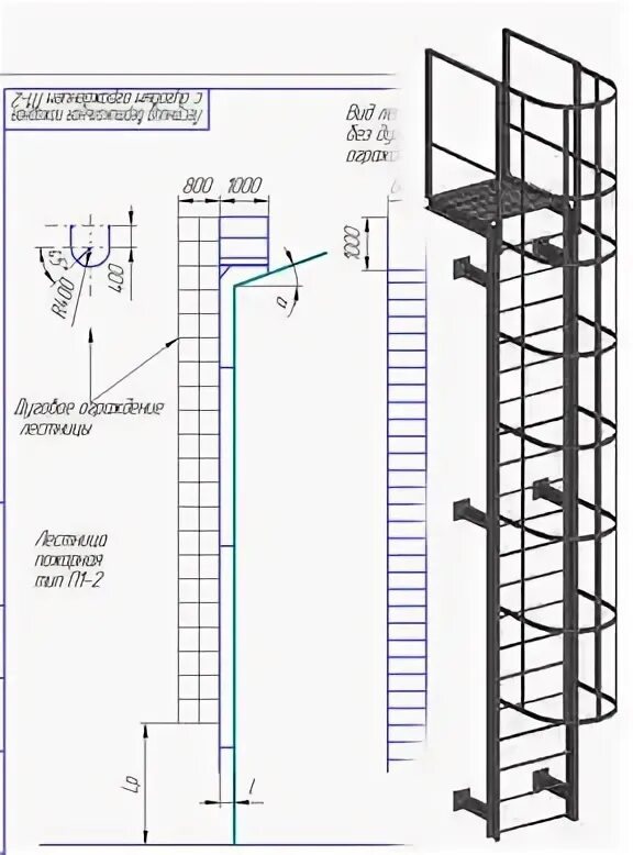 Лестница вертикальная расстояние от стены. Лестница пожарная наружная вертикальная Тип п-1.2. Вертикальная пожарная лестница ЛП 1-2 высота. Пожарные лестницы типа п1 чертеж. Лестница п-1.1 вес/м.п.