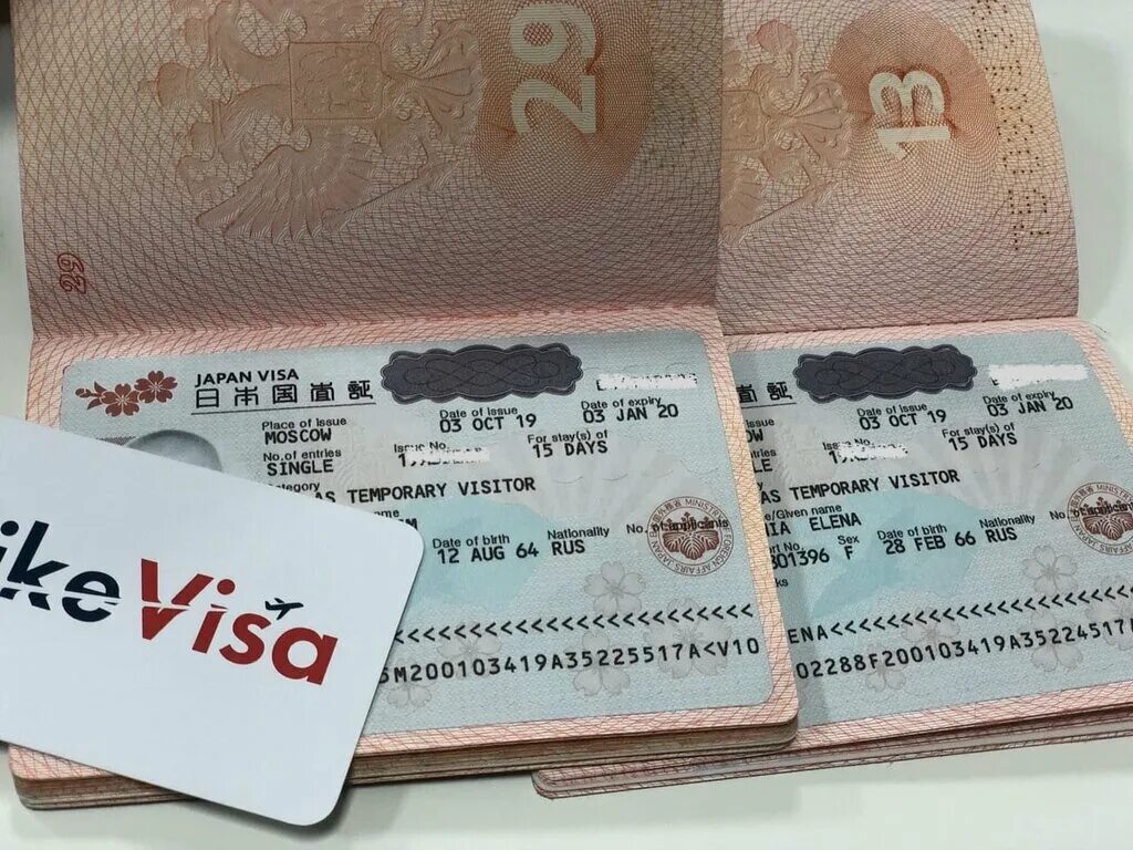 Visa made. Виза Польши в российском заграннике. Как оформляется виза. Visa support. Ивиза 2022.