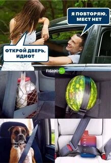 Лучшие приколы 2024