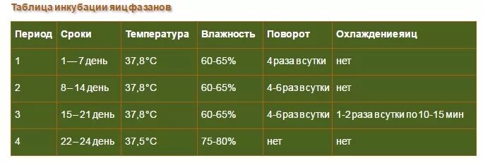 Инкубатор таблица куриных. Таблица вывода перепелов в инкубаторе. таблица инкубации перепелиных яиц в инкубаторе. график инкубации перепелиных яиц таблица. режим инкубации перепелиных яиц таблица.