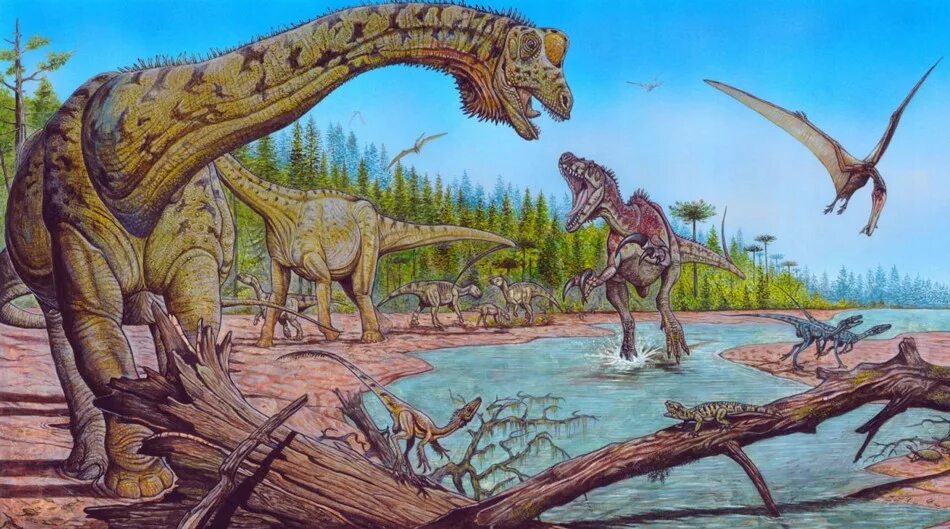 Юрский период мезозойской эры. Футалогнкозавр динозавр. Megaraptor аллозавроиды. Первые динозавры на земле.
