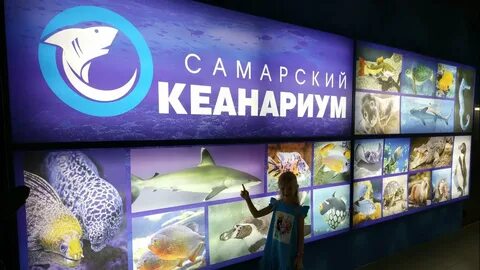 Самарский океанариум московское шоссе 18 й километр