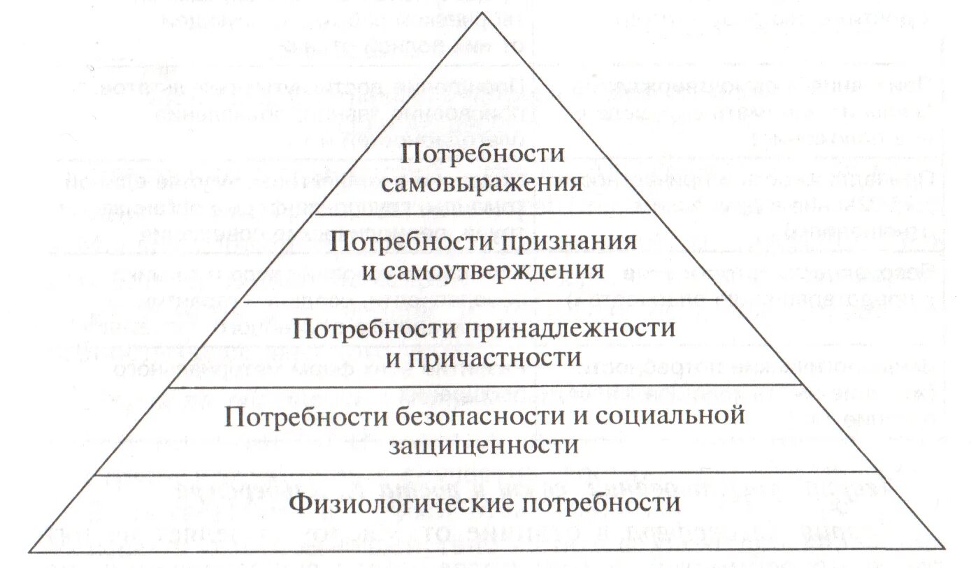 Биологическую природу человека отражает потребность осознавать цель. Пирамида потребностей Маслоу. Пирамида Маслоу потребности человека 5. Пирамида по Маслоу 6 потребности. Теория иерархии потребностей Маслоу.