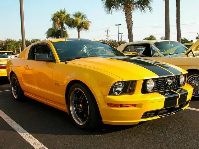 Yellow Mustang BB Graphics & The Wrap Pros