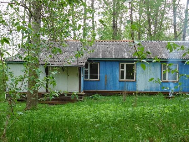 Светлый дол. Дол светлый Ярославская область. Лагерь светлый Ярославская область. Лагерь светлое озеро. Лагерь светлое озеро Сергач.