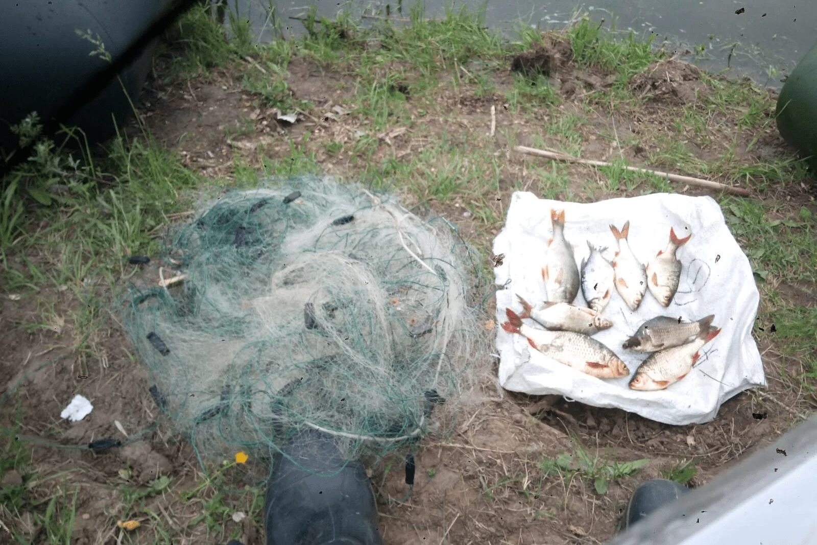 рыбалка в чапаевске