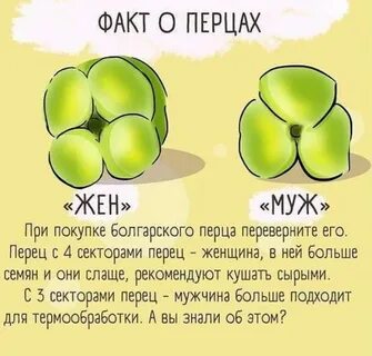 Перец мальчики и девочки