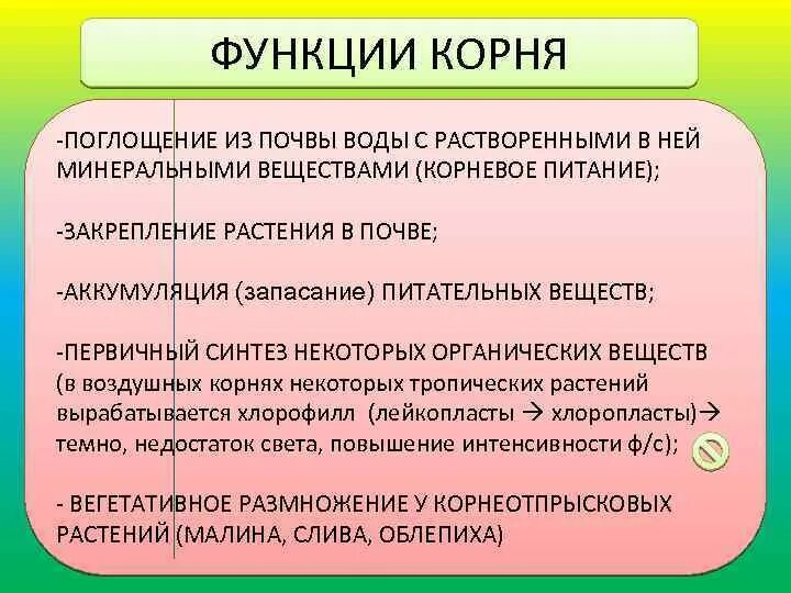 Функции корня поглощение воды и Минеральных веществ. Механизм поглощения воды корнями растений. Поглощает из почвы воду с растворёнными минеральными веществами. Минеральные вещества растворенные в воде поглощаются корнем из почвы.