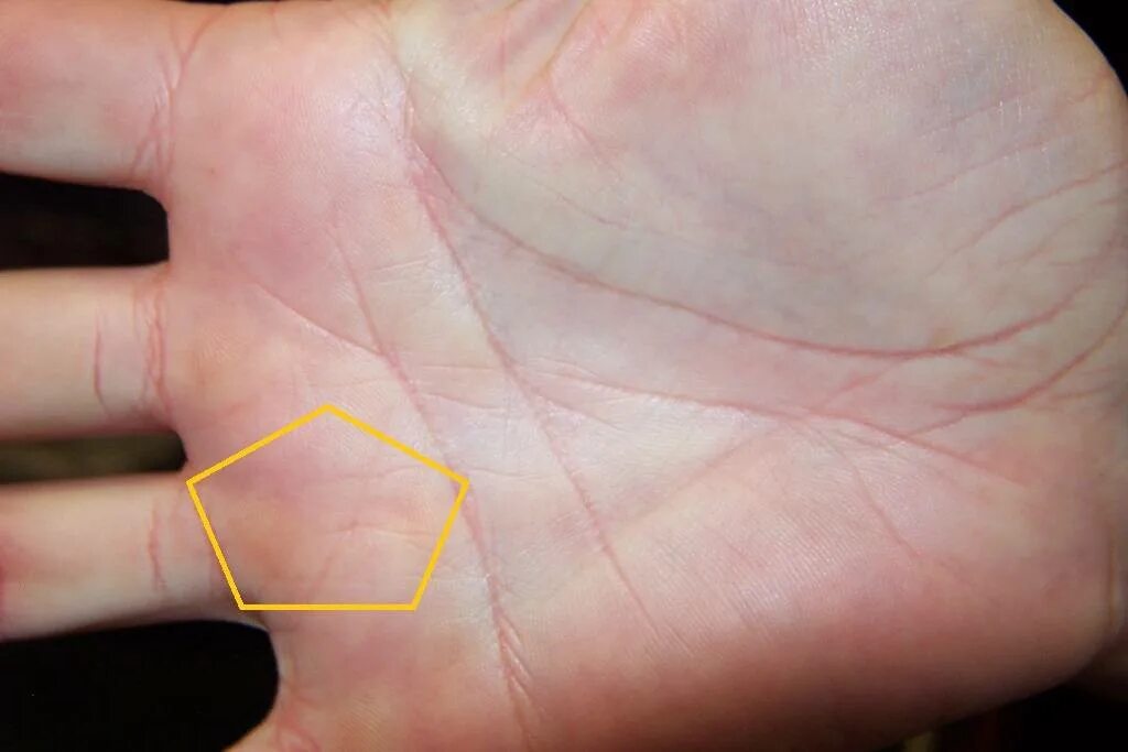 линия жизни и линия сердца на ладони. хиромантия линия под безымянным пальцем. хиромантия звезда на холме аполлона. хиромантия трезубец. холм сатурна хиромантия.