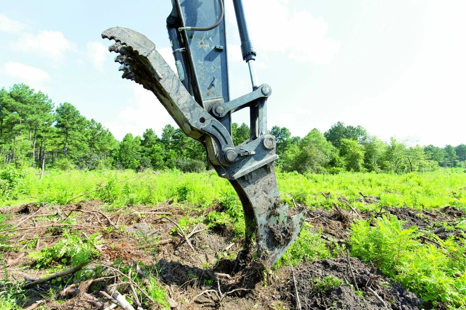 Clearing land. Removing a Tree Stump with Excavator _ Machines Tree Stump removal _ Excavator Stump Shear. Cleared Land. 钳子removing a Tree Stump with Excavator _ Machines Tree Stump removal _ Excavator Stump Shear.