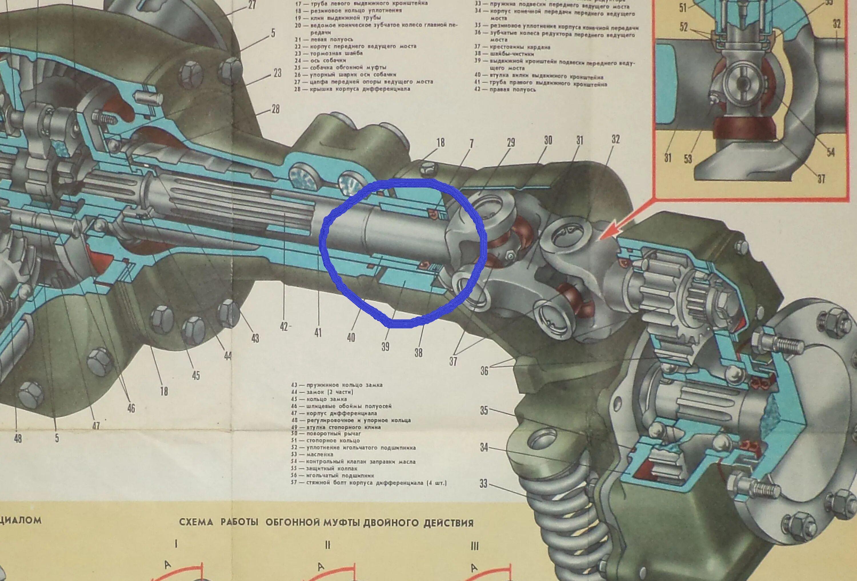 Бортовая мтз 82 каталог. Передний мост трактора т-40ам. Передний мост трактора т-40. Редуктор переднего моста трактора т-40а. Бортовая переднего моста т-40.