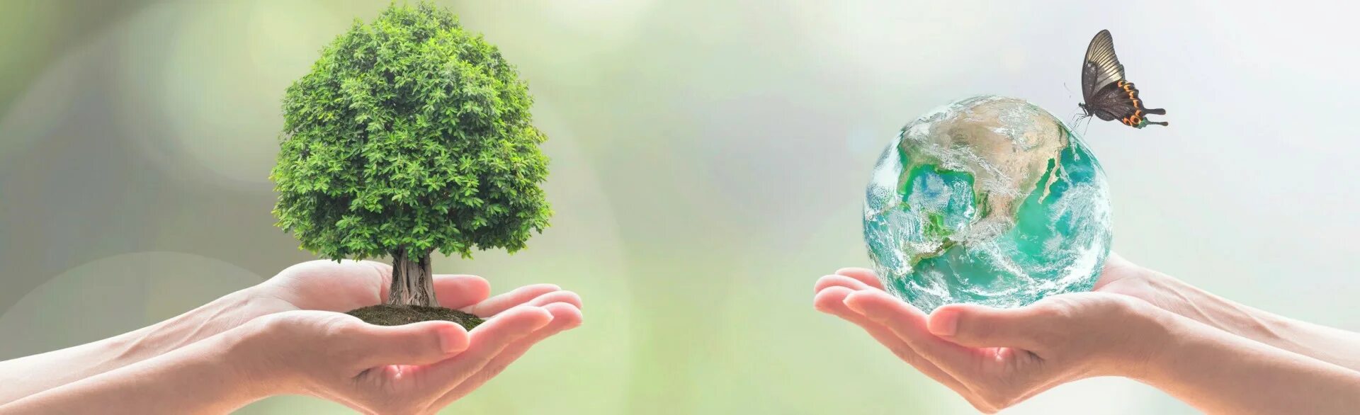 Consider the environment. Consider the environment