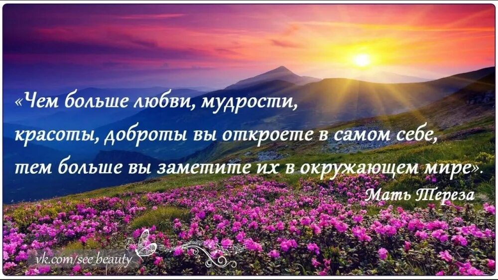 Открытка доброго мудрые мысли. Мудрость и доброта. Мудрость жизни. Цитаты о красоте жизни. Мудрые мысли о радости в жизни.