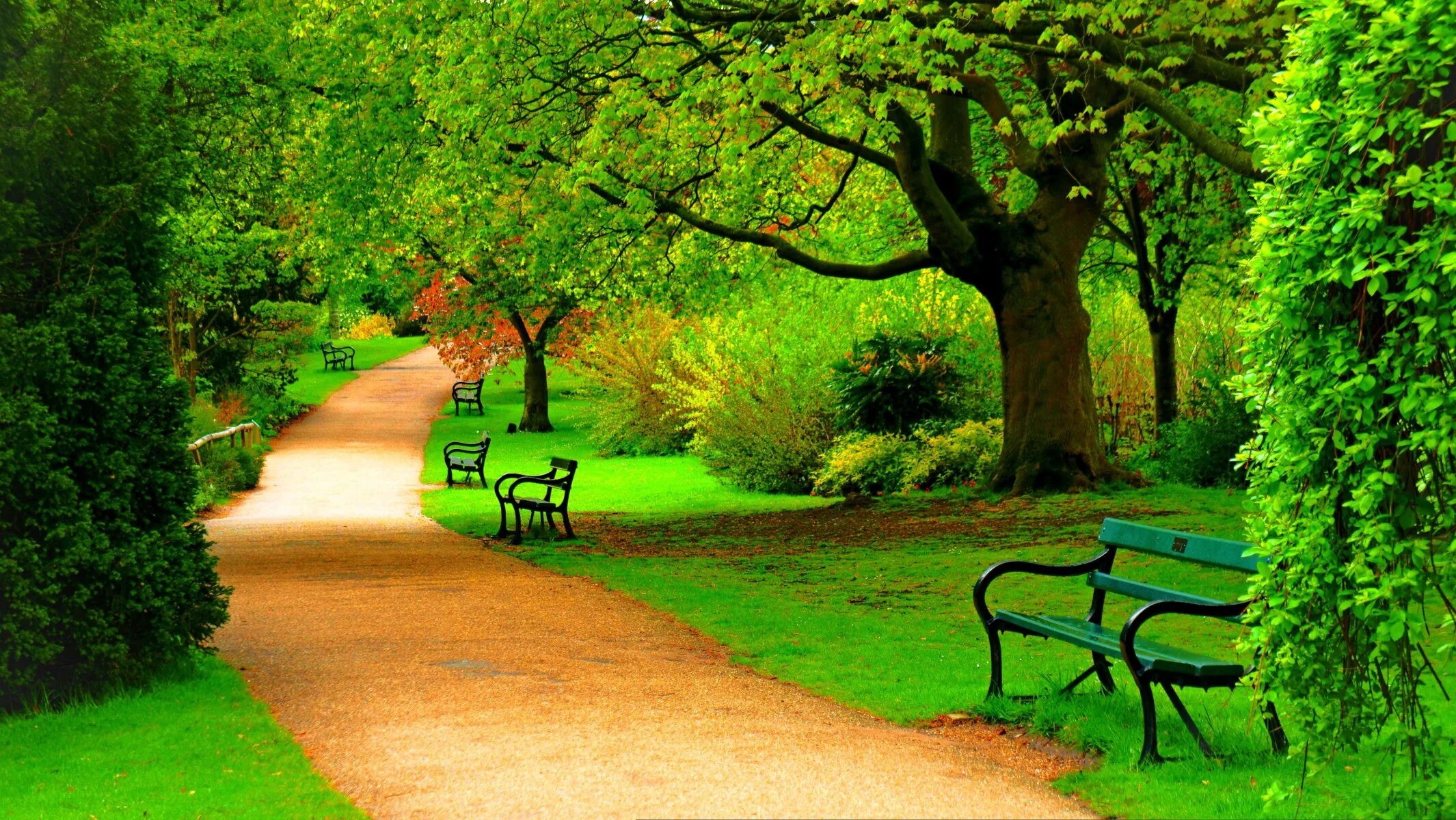 Слайд парк. Hyde Park лавочки. Аллея Гарден Роуз. Грин Форест парк. Красивый парк.