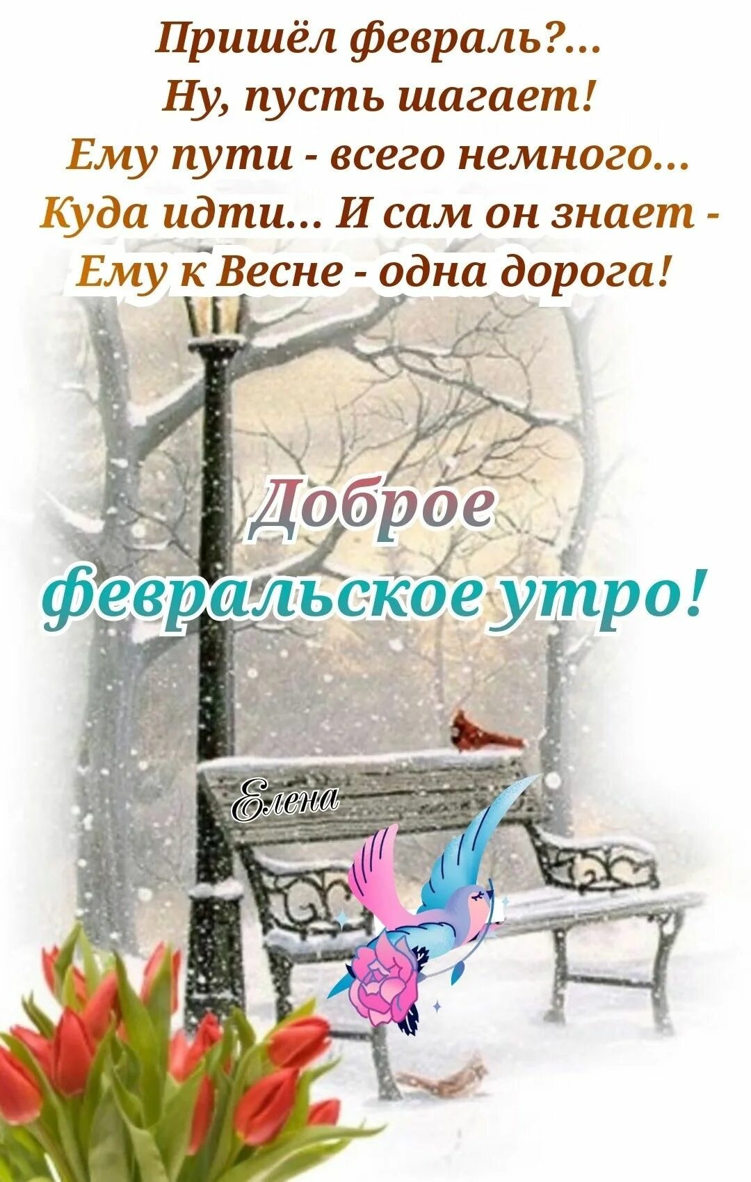 Доброе февральское утро православные. Пришел февраль. Пришел февраль доброе утро. Пришел февраль ну пусть шагает ему пути всего немного. Доброе утро февраля картинки.