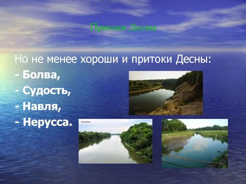 Приток десны 4. Притоки десны. притоки реки десны в брянской области. десна и ее притоки.