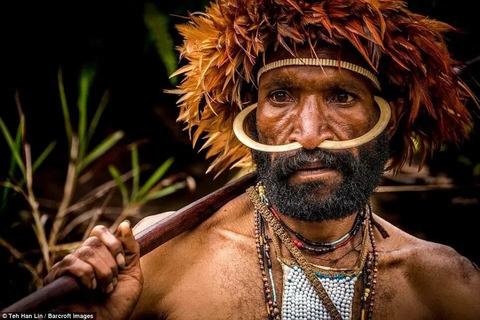 Племя. Племя Дани новая Гвинея.