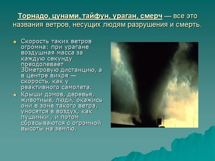 ЦУНАМИ И смерч. Тайфун смерч. Ураган смерч буря различия. Ураган и ЦУНАМИ. Смерч и торнадо разница