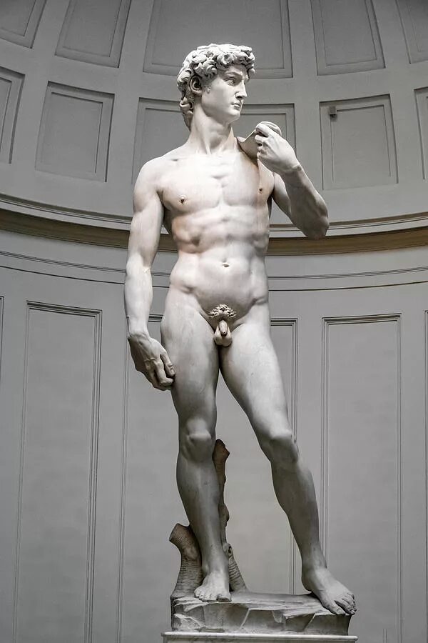 Красив как аполлон. Давид микеланджело эстетика. Микеланджело буонарроти статуя давида. Аполлон на белом фоне. Микеланджело давид 1501.
