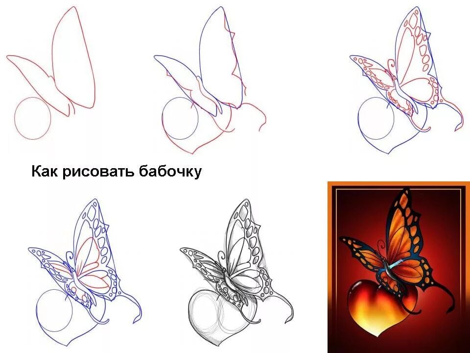 Бабочка рисунок. Бабочка рисунок карандашом. Поэтапное рисование бабочки. Поэтапный рисунок бабочки. Красивые бабочки карандашом