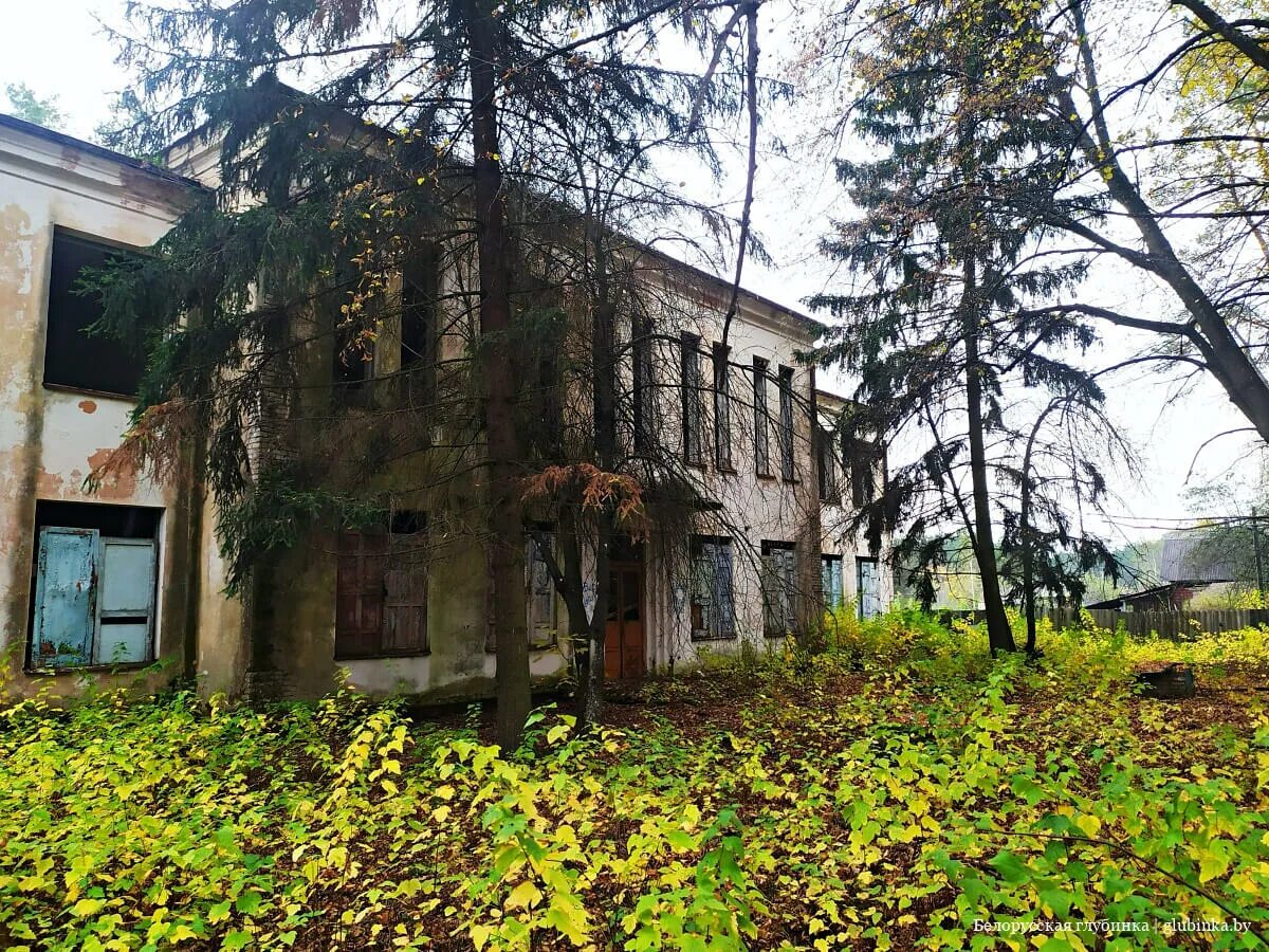 Хвойный район. Хойникский район деревня хвойное. Хвойная Поляна. Хвойная Пионерская Поляна. Солдатская Поляна Хвойная.