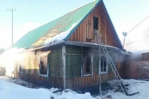 Алтайский красногорский березовка