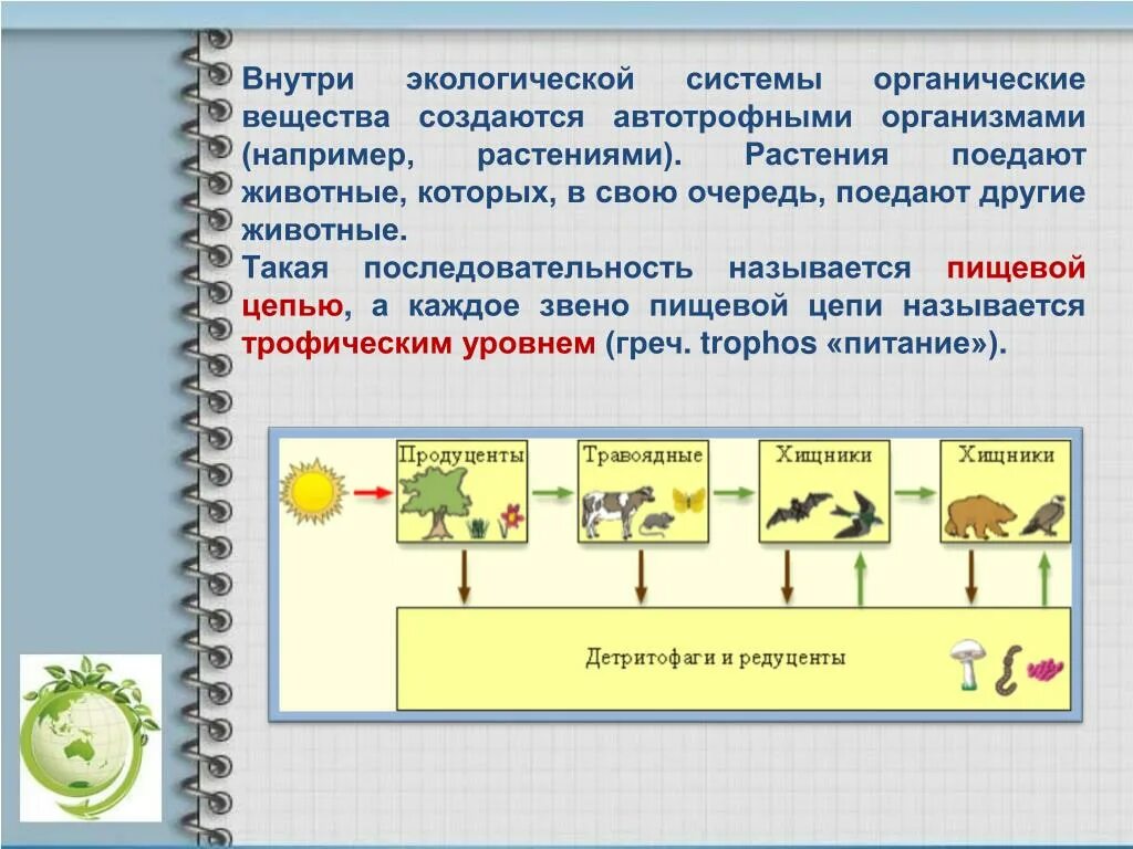 Растения производители органического вещества. Каждое звено пищевой цепи называют трофическим уровнем. Органическое вещество в пищевых цепях создают. Вещества в пищевой цепи. Растения в звеньях питания.