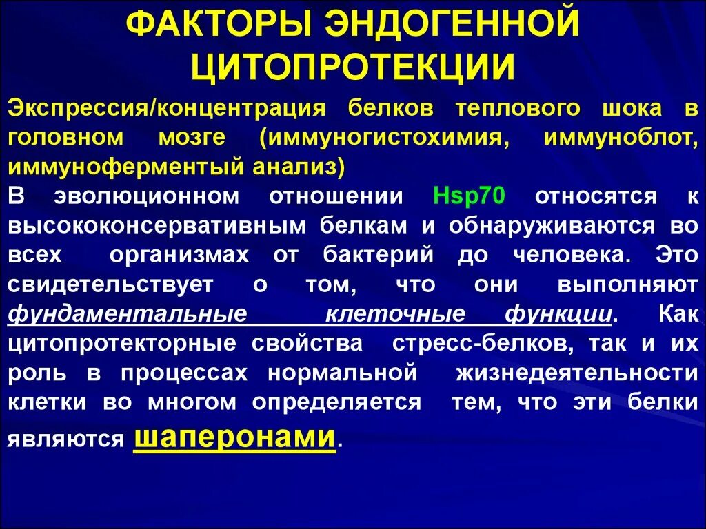 Форум родственников эндогенными. Назовите факторы желудочной цитопротекции. Препараты с цитопротективным действием. Эндогенные концентрации. Эндогенные канцерогенные факторы.