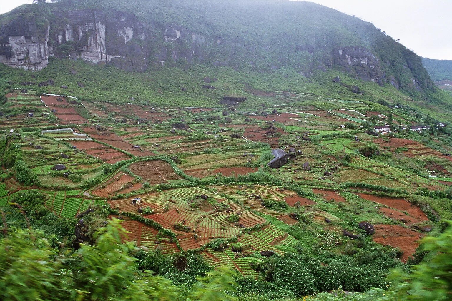 Шри Ланка Цейлон. Шри Ланка чайные плантации. Шри Ланка на китайском\. Горы на Цейлоне.