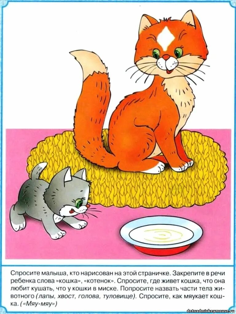 Стишки про котика для детей. Котята. Считалки для дошкольников. Задания про животных для дошкольников. Для детей 2 года про кошек.