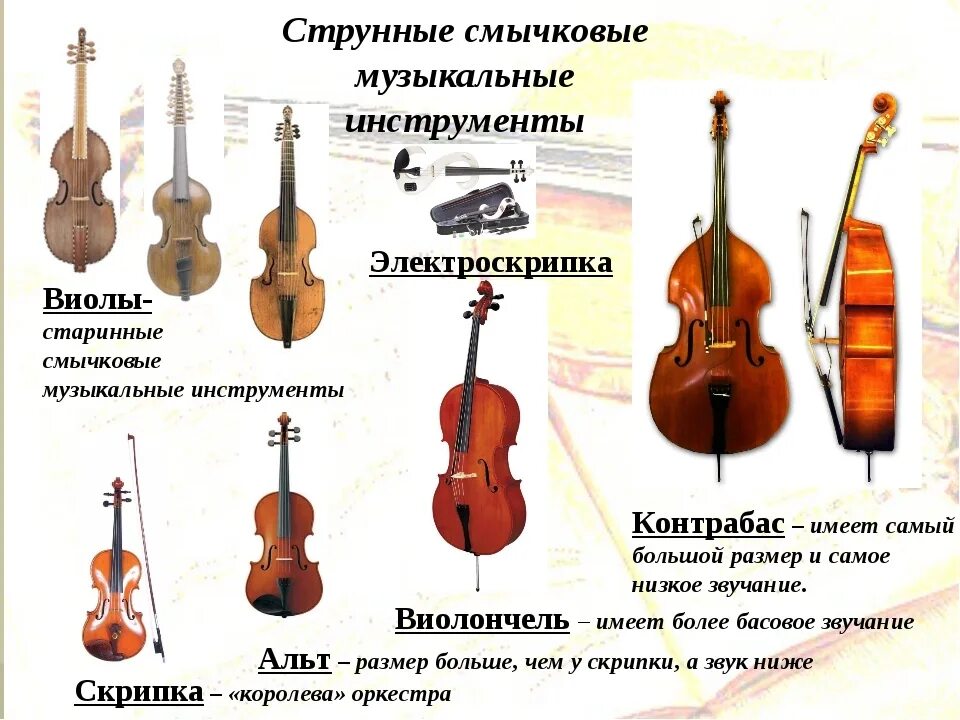 Скрипка побольше как называется