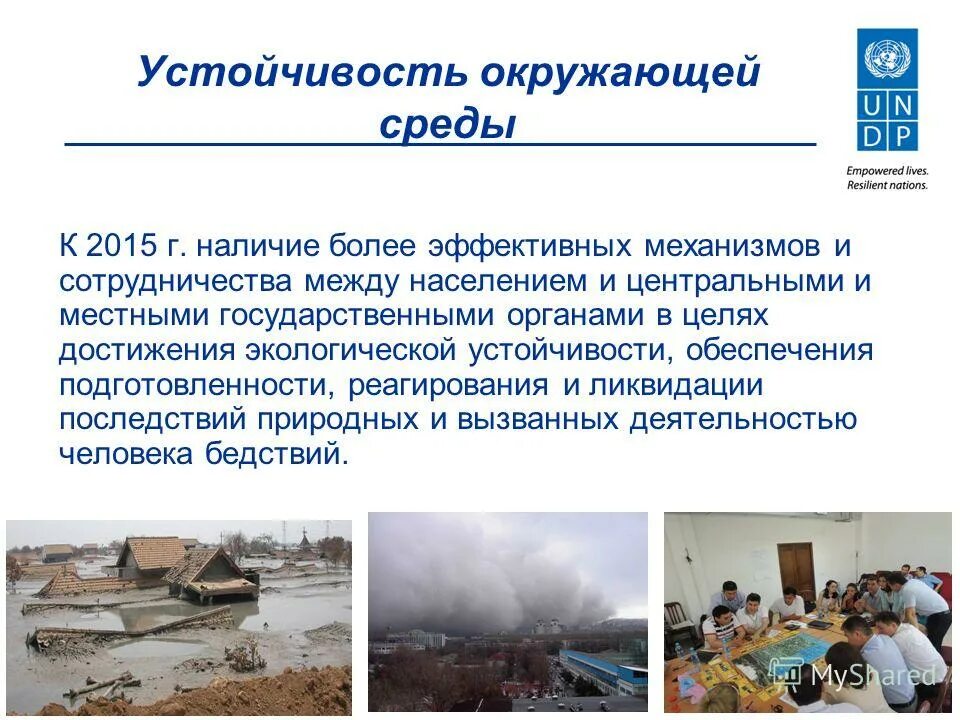 устойчивость окружающей среды