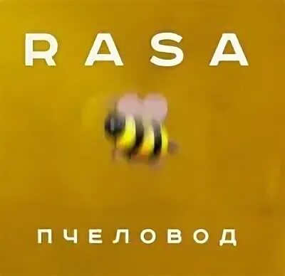 Трек bee. Rasa пчеловод. Sweet little bumblebee. Трек bee. Трек bee.
