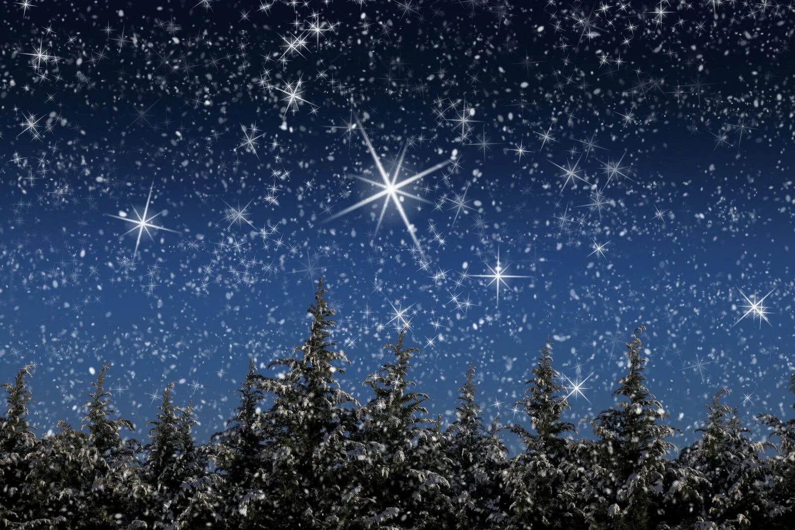 Блестели первые звезды. Зимнее звездное небо. Звезды на зимнем небе. Звездное Рождественское небо. Рождественская звезда на небе.