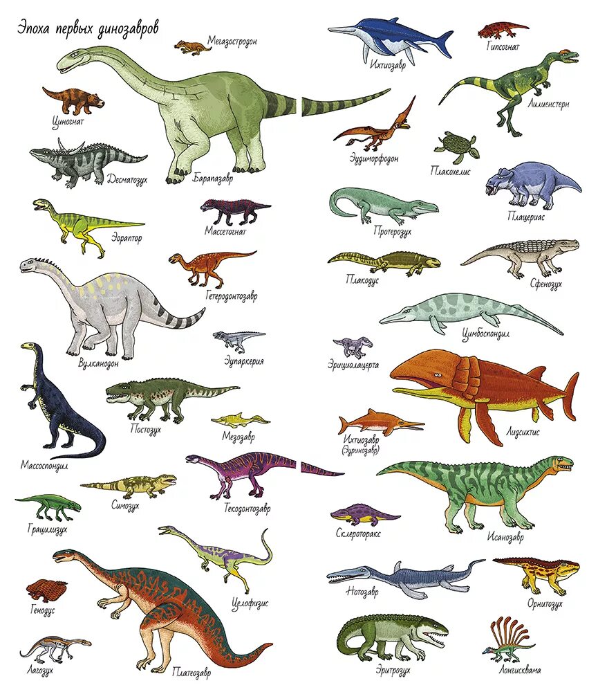 Как назывались маленькие динозавры. Виды динозавров. Динозавры и их названия. Динозавры для детей с названиями. Виды динозавров с названиями.