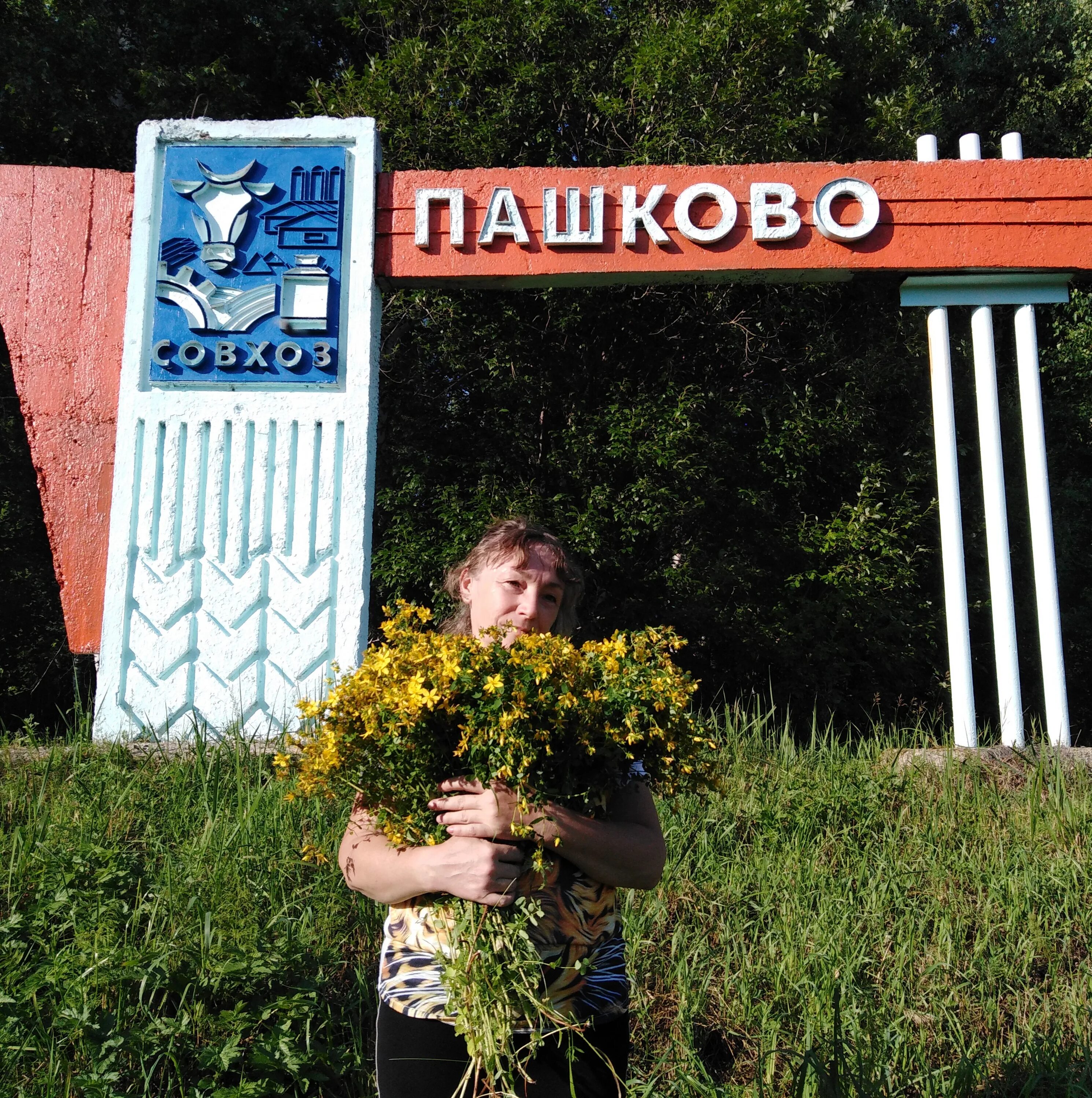 Погода в пашково еао. Погода в пашково еао. Пашково еврейская автономная. Погода в пашково еао. Пашково еао.