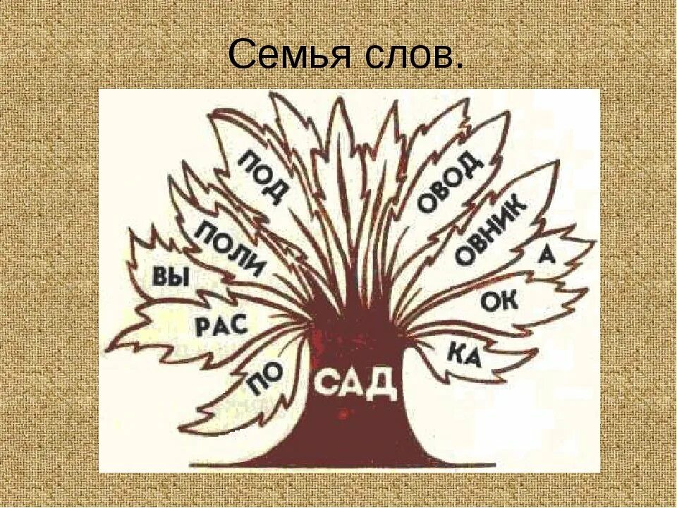 Семья слов. Семейное дерево с однокоренными словами. Рисунок с однокоренными словами. Дерево с однокоренными словами. Дерево слов 5 класс