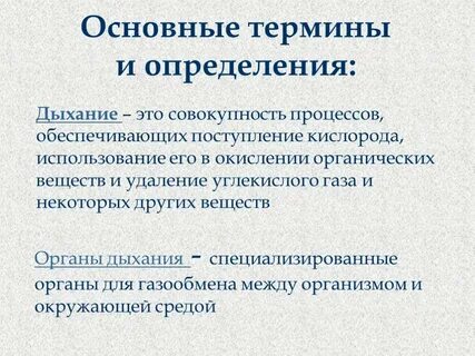 Дыхание процесс биология