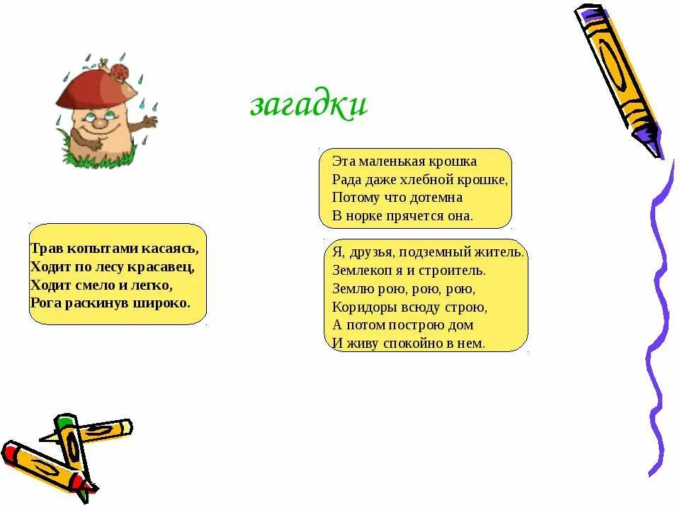 Загадка крошка. 10 Загадок. Загадка про норку. Загадка про норку для детей. Загадки про норку животное.