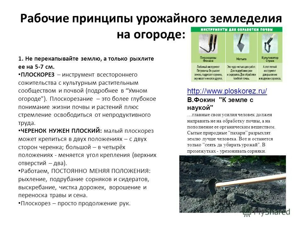 принцип действия основных типов электронных приборов. монографию «принципы научного менеджмента». принципы создания арм. принципы управления разделение труда. принципы научного менеджмента, 1911 г.