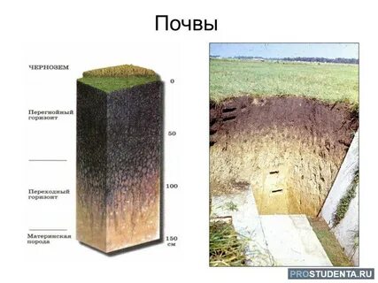 Слои чернозема