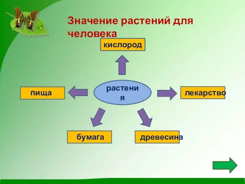 Биология 5 класс значение растений в природе. Значение растений для животных. Значение растений. Схема значение растений. Значение растений для человека.