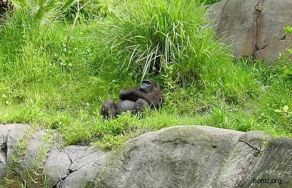 Шутки про рабочую субботу. Утром в субботу после пчьниуы. Рабочая суббота демотиватор. Девушка с похмелья. В субботу после работы.